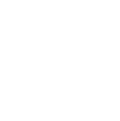 StuGa Wiwi